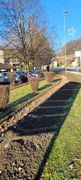 Cvetoči tulipani in narcise